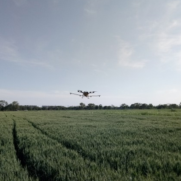 滄州泊頭小麥飛防作業!